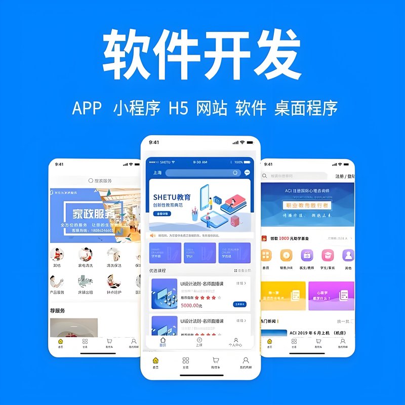 上海软件开发行业：从传统到创新